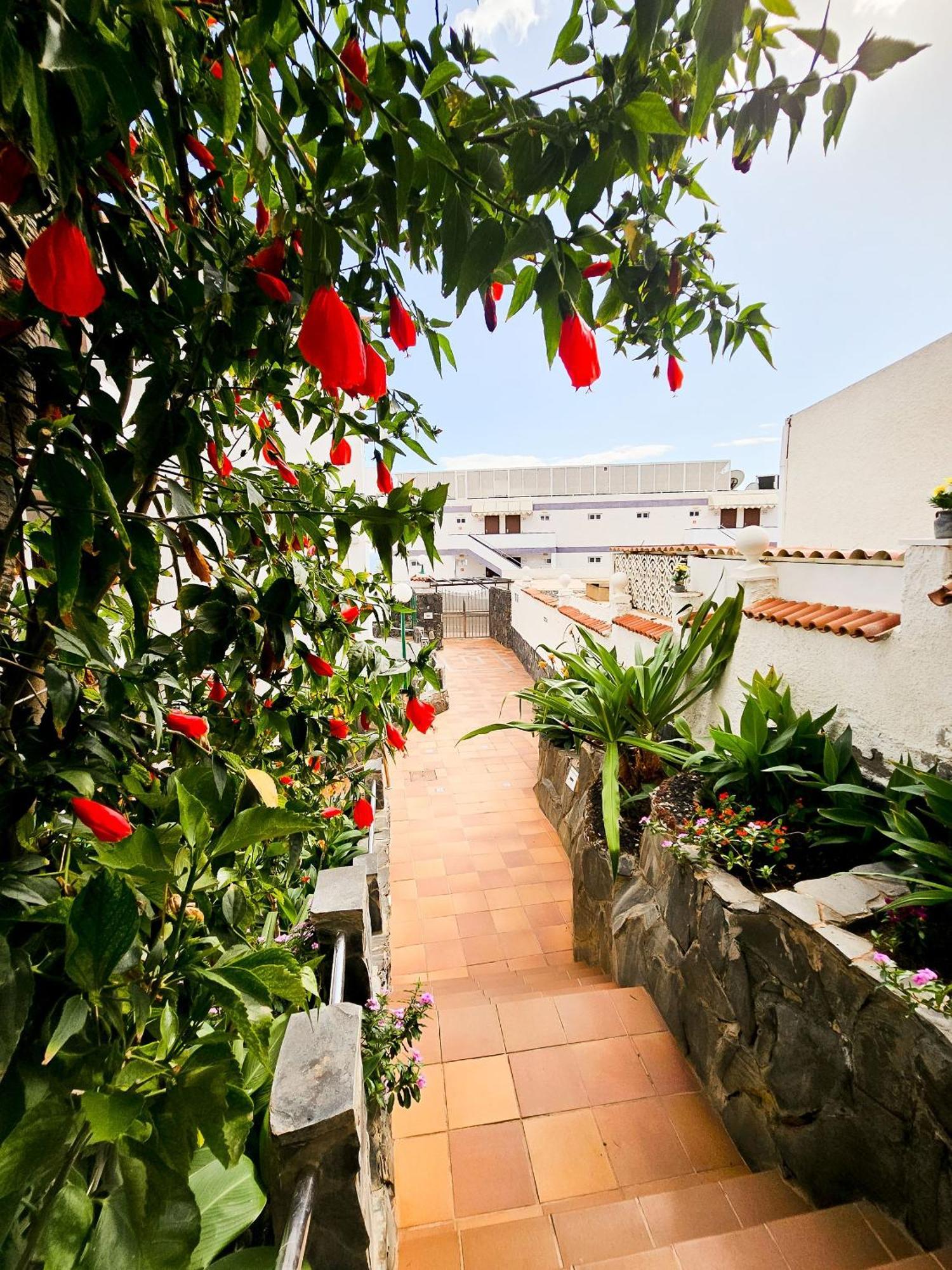 Refugio En El Mar Apartment ซาน อากุสติน ภายนอก รูปภาพ